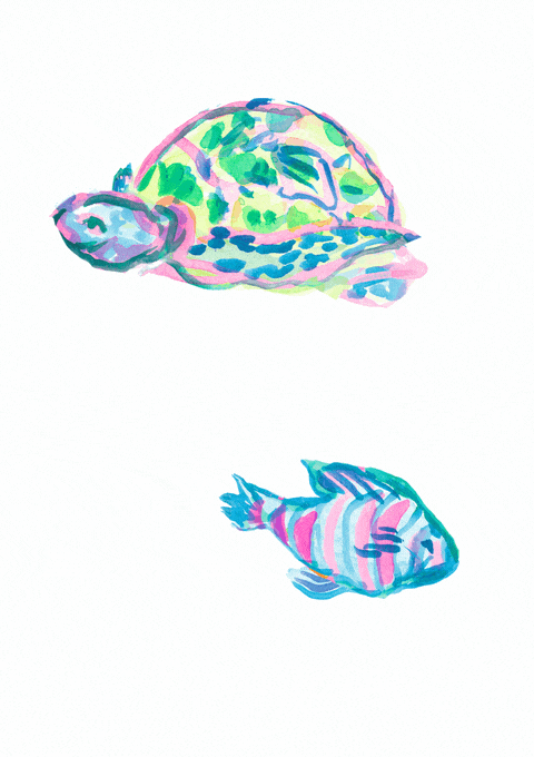 LP_TurtleHeroFish02